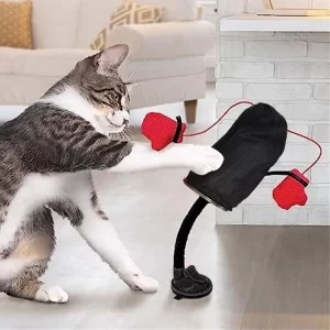 Cat Punching Bag Toy